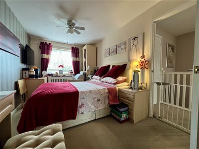Picture 15